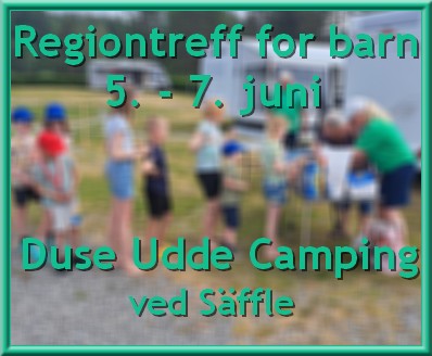 Artikkelbilde til artikkelen Regiontreff 5. - 7. juni