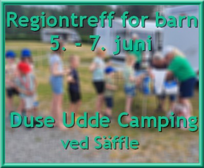 Regiontreff 5. - 7. juni